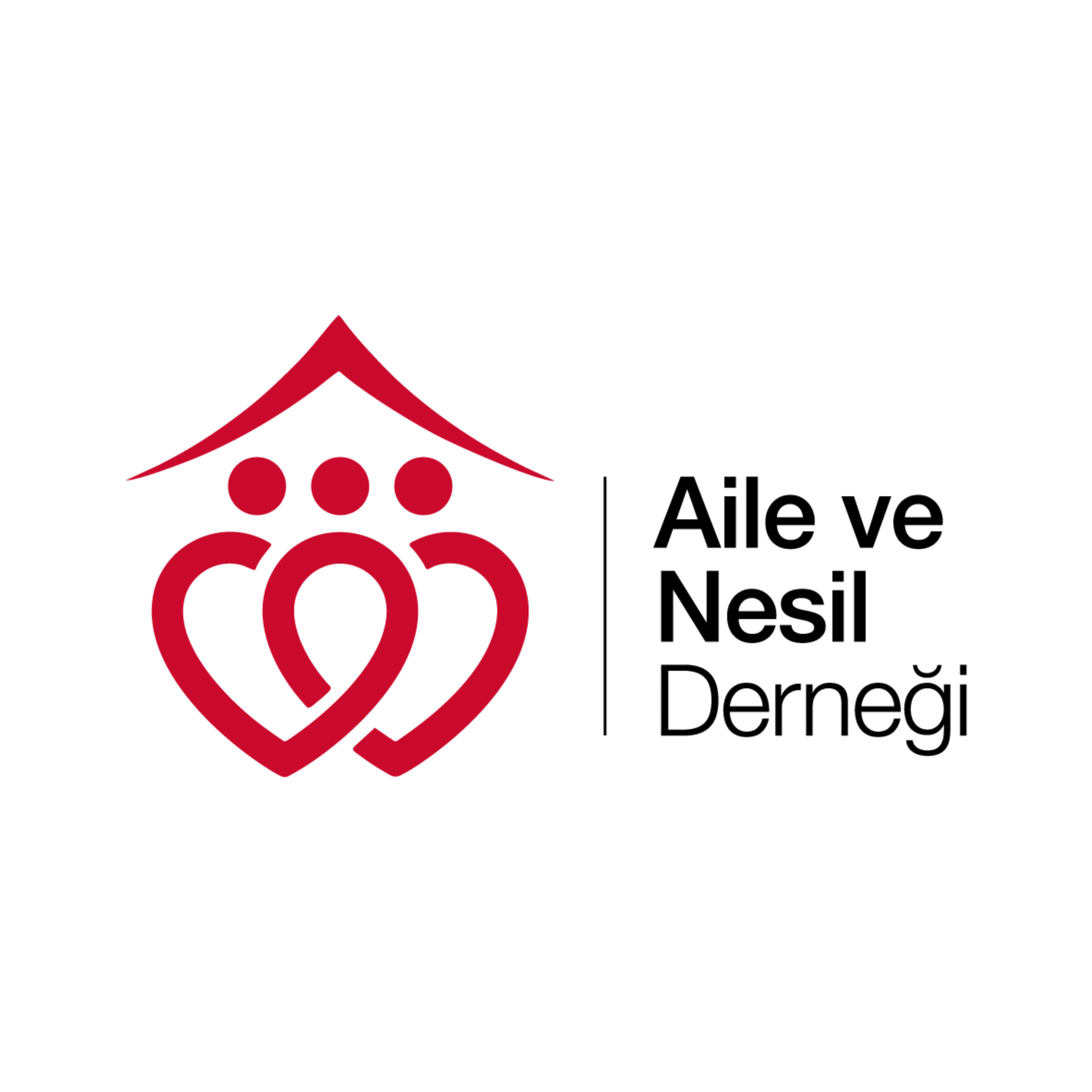 Aile ve Nesil Derneği 